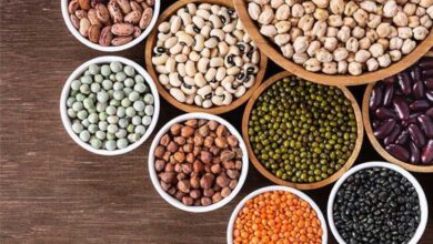 Which Dal has the highest protein content Discover the most nutritious option