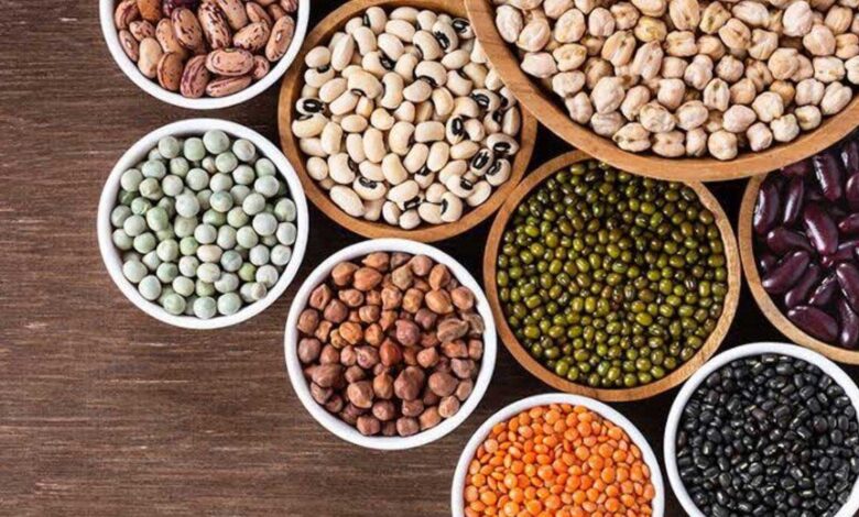 Which Dal has the highest protein content Discover the most nutritious option