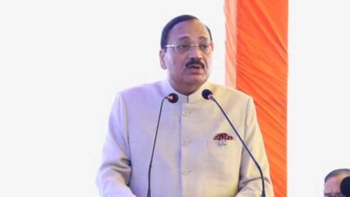 CJI Surya Kant said India has held reverence for nature for centuries